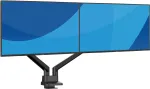 Dviejų monitorių stovas IIYAMA DS4002C-B1, 61&ndash;81,3 cm (24&ndash;32 col.), VESA 75&times;75&ndash;100&times;100, spaustuvas/įvorė, juodas