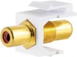 Tinklo adapterio Keystone jungtis Cinch lizdas - S/CONN 08-10061