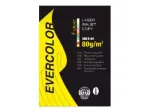 Exacompta Clairefontaine Forever Evercolor Segtuvas su metaliniais spygliais - Geltonas - A4 (210 x 297 mm)