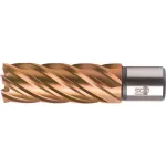 BDS HSSVarioPLUS 30 mm žiedinis grąžtas su Weldon kotu, 55 mm gręžimo gylis KBL-VP030