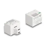 DeLOCK Keystone modulis 41479 2 x USB Type-C PD 20 W Baltas