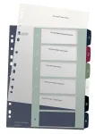 Leitz Index PC Printable 1-6 Style PP A4+