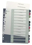 Leitz Index PC Printable 1-12 Style PP A4+