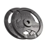 REBEL ACTIVE Ketaus svarmenų rinkinys 2x10 kg, anga 31 mm, diskai su rankenomis, juodi