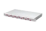 METZ CONNECT VIK 12xLC-D OM4 &scaron;viesolaidžių pachvatalas 1U 24 pluo&scaron;tams 1504507512-F