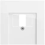 Gira 027670 System 70 TAE/USB lizdo dangtelis, blizgus baltas