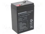 &Scaron;vino-rūg&scaron;tinis akumuliatorius europower EP4.5-6 6V 4.5Ah