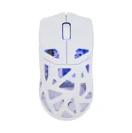 Belaidė pelė White Shark GM-5019 Dagonet Wireless