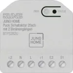 Jung BT P S2 B2 U (JUNG HOME Puck) 2 kanalų jungiklio pavara su 2 dvejetainiais įėjimais