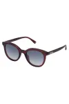 NINA RICCI Moteri&scaron;ki akiniai nuo saulės SNR264-500AFD Havana Brown Gradient Butterfly