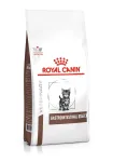 Royal Canin Cat Gastrointestinal Kitten VHN sausas kačių maistas, 400 g