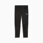 Vyrų kelnės Puma Team Goal Training juodos 658639 03 S