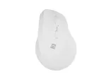 NATEC Crake 2 pelė universali De&scaron;iniajai rankai RF belaidė + Bluetooth optinė 2400 DPI