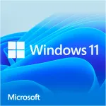 Windows 11 Home, operacinė sistema 64 bit, voki&scaron;ka, DVD-ROM