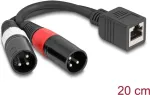 DeLOCK garso kabelis 0,2 m RJ-45 2 x XLR (3 kontaktų) Juoda 88179