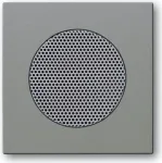Busch-jaeger 2CKA008200A0115 pilkas