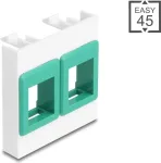 Sieninis 45x45 mm modulinis rėmelis DELOCK Easy 2x Keystone laikikliai baltas/žalias