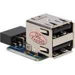 DeLOCK 41825 adapteris 1 x 9 kontaktų 2,54 mm / 2 x USB 2.0-A