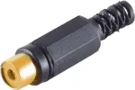 RCA jungtis ShiverPeaks BS51500-SG juoda