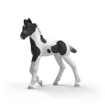 Schleich Horse Club Collectible Foal Rocky
