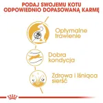 Royal Canin Bengal Adult sausas kačių maistas, 2 kg, pauk&scaron;tiena ir daržovės
