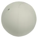 Leitz Ergo Active sėdėjimo kamuolys su stabdymo funkcija 65 cm, pilkoji, 150 kg