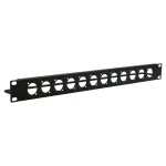EXSYS EX-49299 19 inch 1U stelažo panelis su 12 D tipo i&scaron;pjovomis ir kabelių tvarkymo juosta