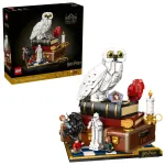 LEGO HARRY POTTER 76466 I&scaron;minties akmuo &ndash; Kolekcinis leidimas
