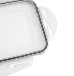 APS Ice Cube Box su dangteliu, permatomas/pilkas, 2 vnt. rinkinys, polipropilenas, tinka plauti indaplovėje 36103
