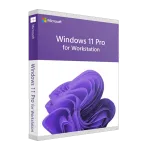 Windows 11 Pro for WORKSTATION