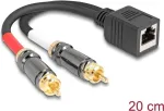 DeLOCK garso kabelis 0,2 m RJ-45 2 x RCA juodas