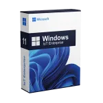 Windows 11 IoT Enterprise LTSC 2024