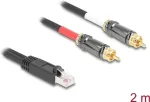 DeLOCK garso kabelis 2 m RJ-45 2 x RCA juodas 88171