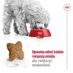 Sausas &scaron;unų ėdalas Royal Canin Adult Mini S 8 kg &ndash; visavertė mityba mažų veislių suaugusiems &scaron;unims