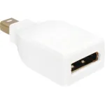 Adapteris DisplayPort Mini M / DP FM Delock, baltas