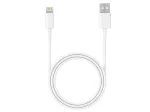 Laidas USB 2.0 iPhone AM-Lightning 1m baltas