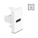 DeLOCK 90911 keystone modulis USB-A lizdas su 5 kontaktų gnybtų bloku