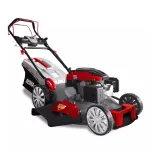 DEDRA DED8725Q-56L benzininis vejapjovė