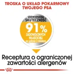 ROYAL CANIN Mini Dermacomfort - sausas ėdalas suaugusiems mažų veislių &scaron;unims su jautria oda, linkusia į dirginimą - 3kg
