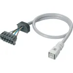 Eaton RA-C4-PPB/C3-1M5 maitinimo kabelis C14 į C13, 1,5 m, juodas 116962