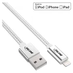 InLine Lightning USB laidas, iPad, iPhone, iPod, sidabrinis/aliuminis 1 m, MFi sertifikuotas