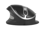 Belaidė pelė BakkerElkhuizen Oyster Mouse