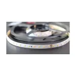 Synergy 21 LED lanksti juosta 3528 - 80 WW DC24V 60W IP20 CRI>97