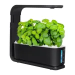I&scaron;manusis hidroponinis vazonas ZG1001 juodas &ndash; 6 vietų vidaus sodas su viso spektro LED, Wi-Fi programėlės valdymu, 2,5 l talpa