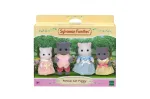 EPOCH Sylvanian Families Persų kačių &scaron;eimynėlė