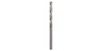Gręžtų rinkinys Bosch 2609255041 4 mm skersmuo 75 mm ilgis 2 vnt.