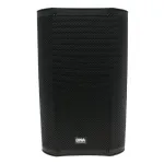 DNA PROFESSIONAL DNA SPX12 DSP aktyvus garsiakalbis 12 inch