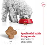 Sausas &scaron;unų ėdalas Royal Canin Mini Adult 8+ 2 kg &ndash; mažoms veislėms 5&ndash;10 kg, pauk&scaron;tiena, svorio kontrolės formulė