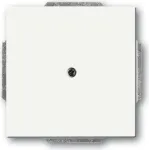 BUSCH JAEGER 1742-884 &ndash; Baltas &ndash; Metalinis &ndash; Plastikinis &ndash; Matinis &ndash; 63 mm x 63 mm