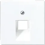 Sieninio lizdo adapteris JUNG A 569-1 BFPLUA WW &mdash; baltas termoplastikas, 1 vnt.